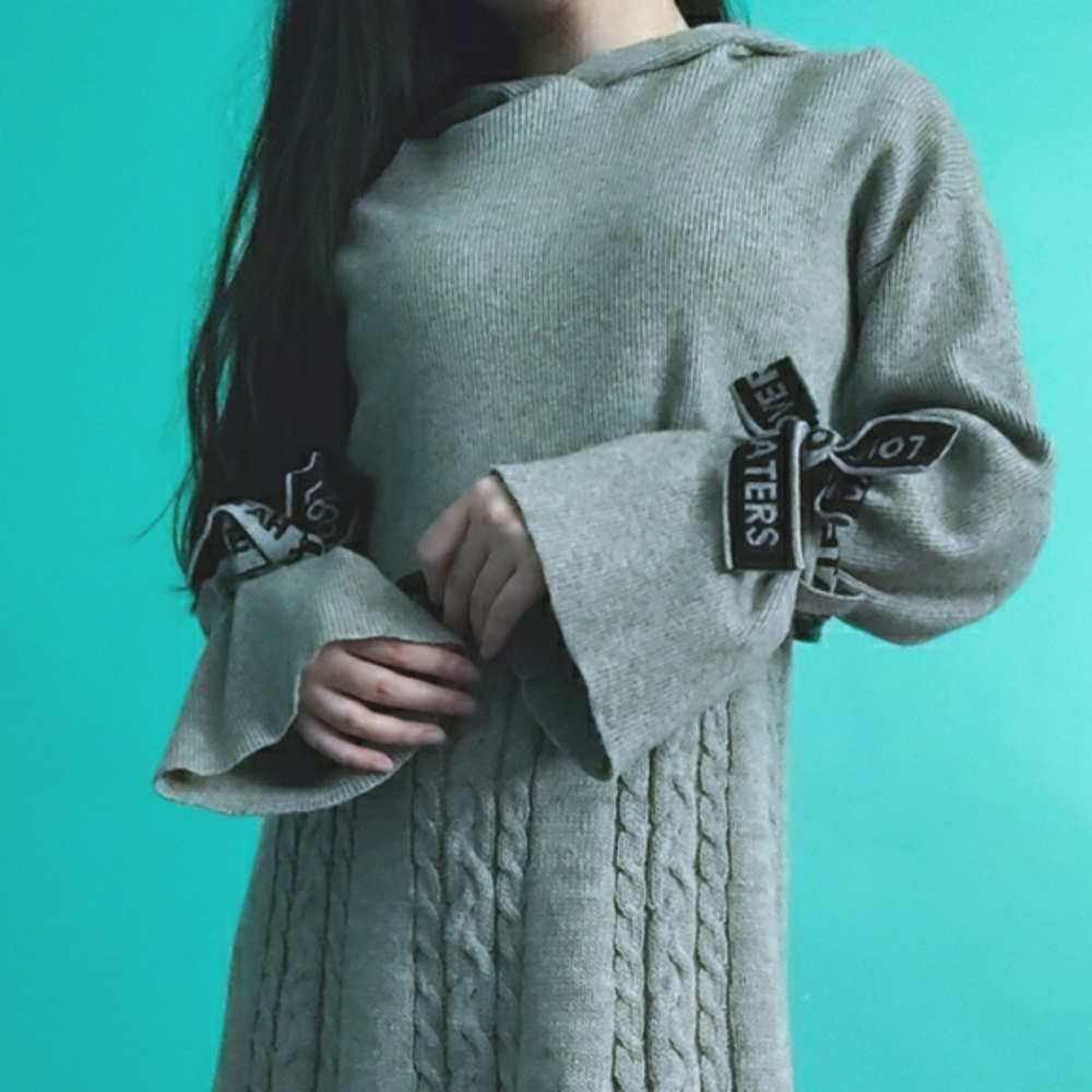 H&M Kpop Ribbed Bell Sleeve Hooded Crop Sweater